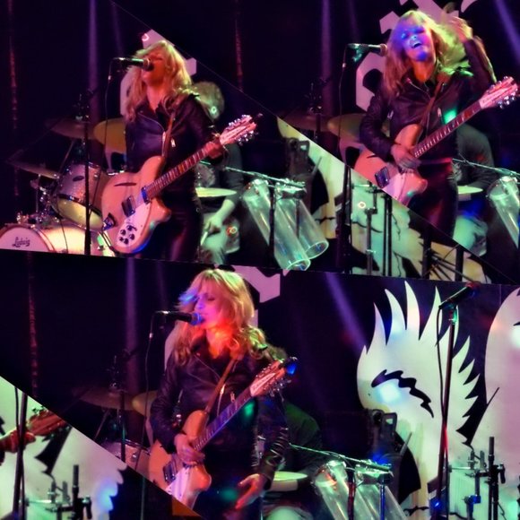 Meet your Posher, Lily - Picture 3 of 8